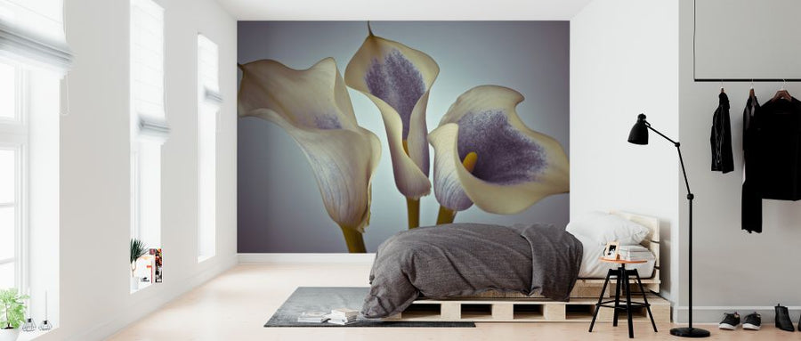 PHOTOWALL / Calla Lily (e326301)