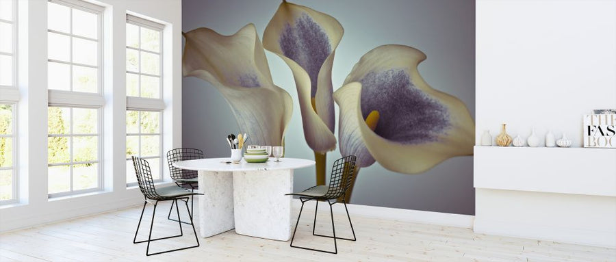 PHOTOWALL / Calla Lily (e326301)