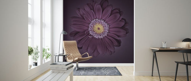 PHOTOWALL / Gerbera Flower (e326302)