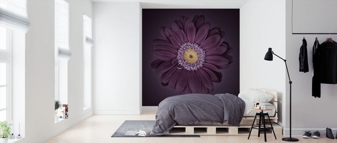 PHOTOWALL / Gerbera Flower (e326302)
