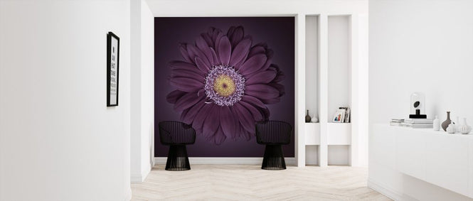 PHOTOWALL / Gerbera Flower (e326302)