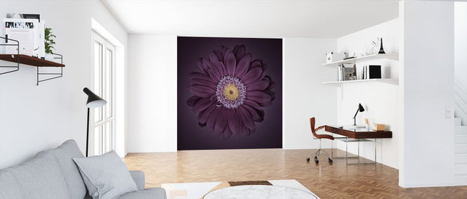 PHOTOWALL / Gerbera Flower (e326302)