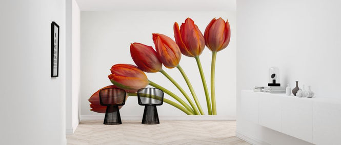 PHOTOWALL / Tulips (e326312)