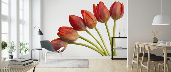 PHOTOWALL / Tulips (e326312)