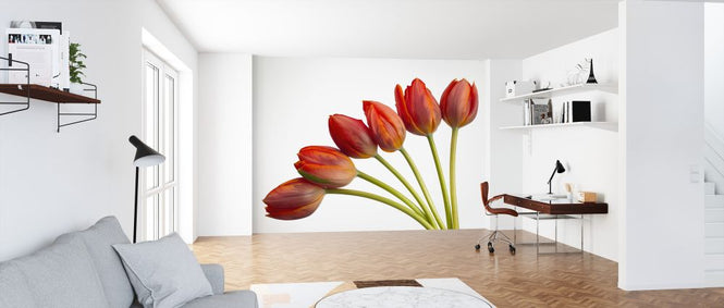 PHOTOWALL / Tulips (e326312)