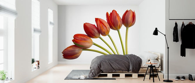 PHOTOWALL / Tulips (e326312)