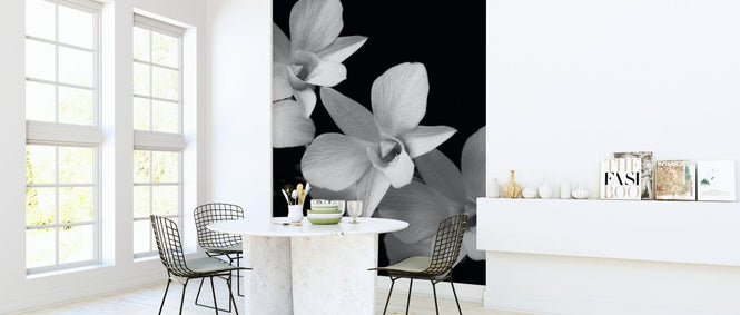 PHOTOWALL / Orchid (e326313)