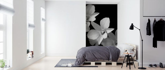 PHOTOWALL / Orchid (e326313)
