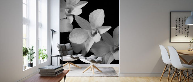 PHOTOWALL / Orchid (e326313)