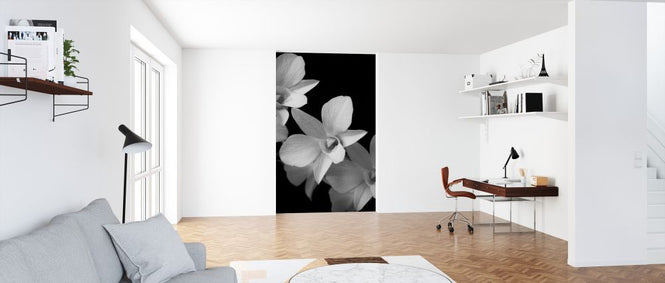 PHOTOWALL / Orchid (e326313)