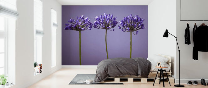 PHOTOWALL / African Lliy (e326314)