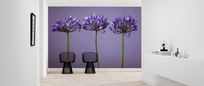 PHOTOWALL / African Lliy (e326314)