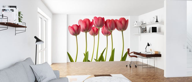 PHOTOWALL / Tulips (e326315)