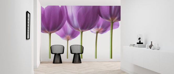 PHOTOWALL / Tulips (e326316)
