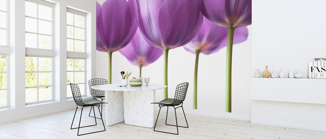 PHOTOWALL / Tulips (e326316)