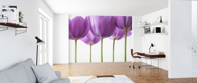 PHOTOWALL / Tulips (e326316)