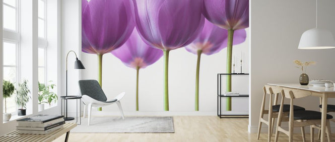 PHOTOWALL / Tulips (e326316)
