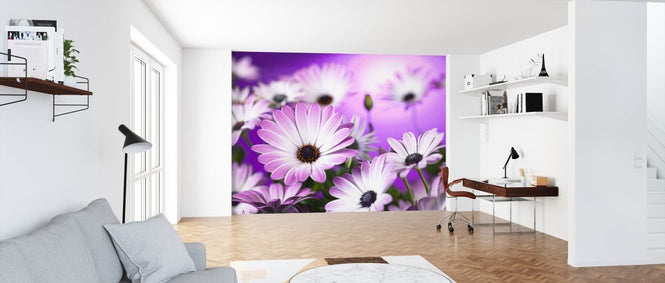 PHOTOWALL / Osteospermum (e326317)