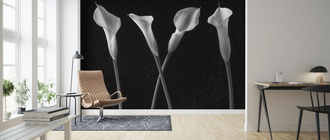 PHOTOWALL / Calla Lilies (e326325)