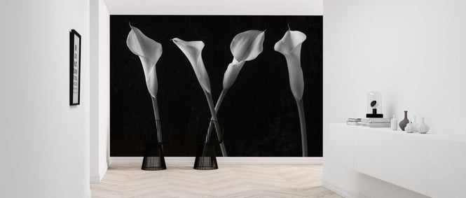 PHOTOWALL / Calla Lilies (e326325)