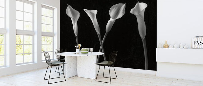 PHOTOWALL / Calla Lilies (e326325)