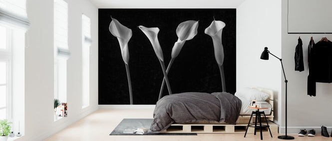 PHOTOWALL / Calla Lilies (e326325)