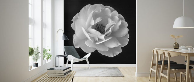 PHOTOWALL / Rose (e326331)