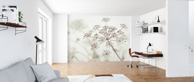 PHOTOWALL / Cow Parsley (e326332)