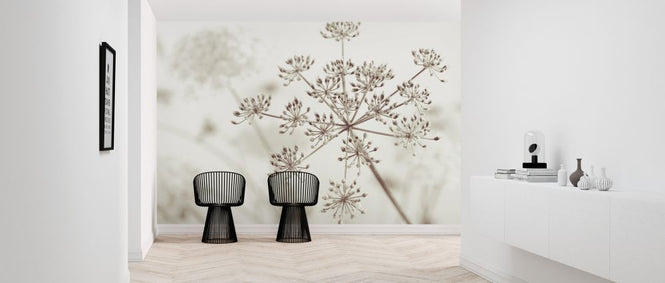 PHOTOWALL / Cow Parsley (e326332)