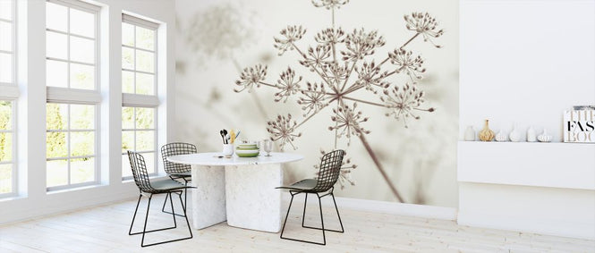 PHOTOWALL / Cow Parsley (e326332)
