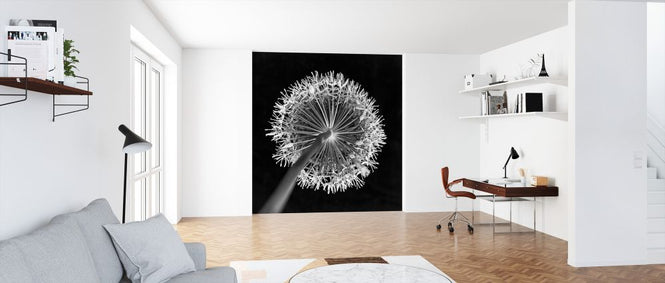 PHOTOWALL / Allium Flower (e326345)