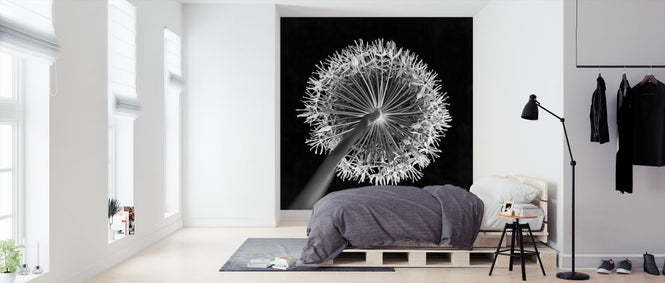 PHOTOWALL / Allium Flower (e326345)