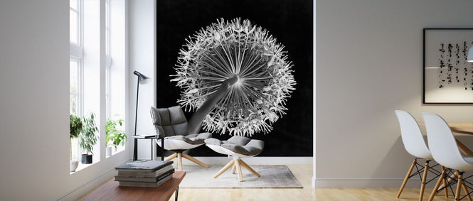 PHOTOWALL / Allium Flower (e326345)