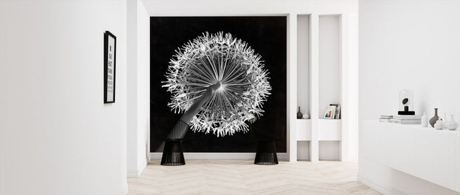 PHOTOWALL / Allium Flower (e326345)