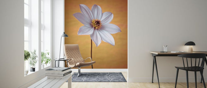 PHOTOWALL / Dahlia Flower (e326348)