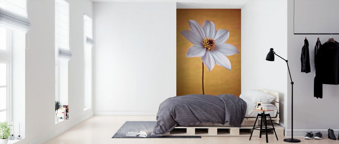 PHOTOWALL / Dahlia Flower (e326348)