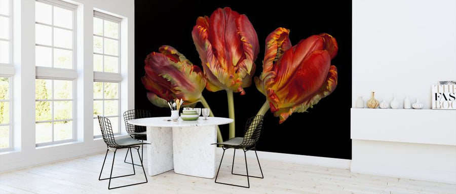 PHOTOWALL / Three Tulips (e326350)