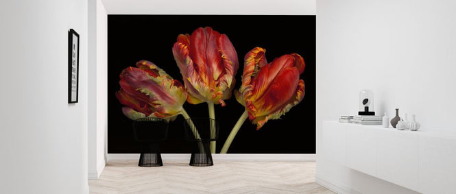 PHOTOWALL / Three Tulips (e326350)