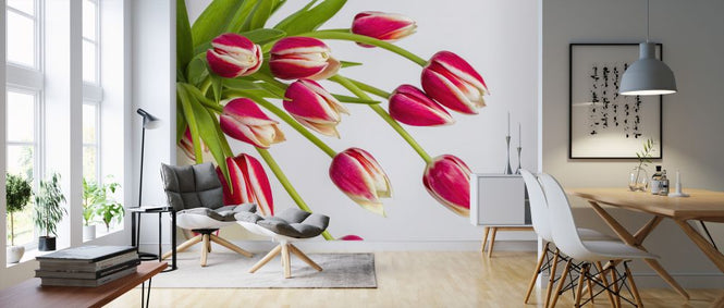 PHOTOWALL / Tulips (e326351)