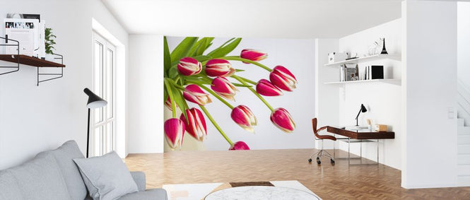 PHOTOWALL / Tulips (e326351)