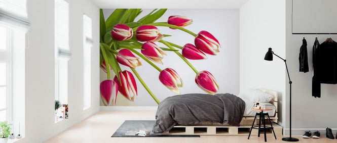 PHOTOWALL / Tulips (e326351)