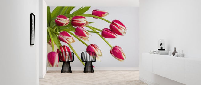 PHOTOWALL / Tulips (e326351)