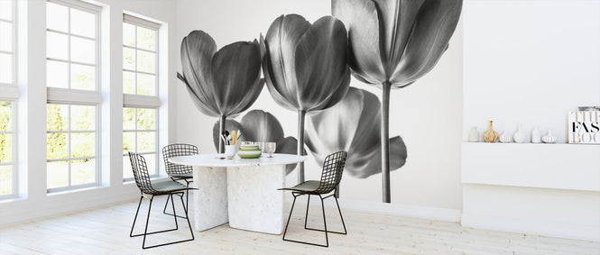 PHOTOWALL / Tulips (e326358)