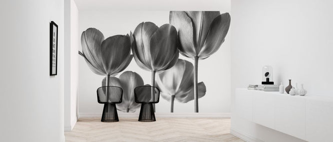 PHOTOWALL / Tulips (e326358)