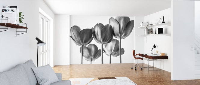 PHOTOWALL / Tulips (e326358)