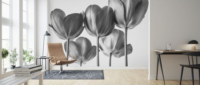 PHOTOWALL / Tulips (e326358)