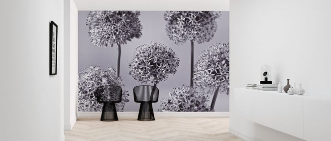 PHOTOWALL / Alliums (e326361)