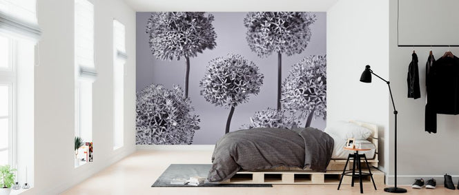PHOTOWALL / Alliums (e326361)