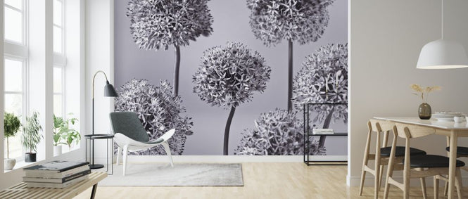 PHOTOWALL / Alliums (e326361)