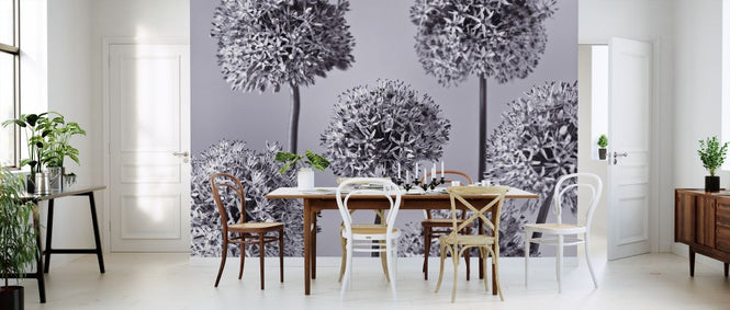 PHOTOWALL / Alliums (e326361)